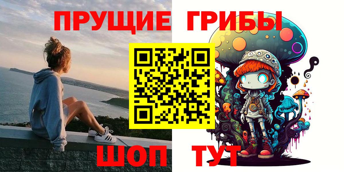 Псилоцибиновые грибы мухоморы Калининград